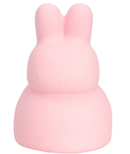 Load image into Gallery viewer, Silicone Bunny Money Box
