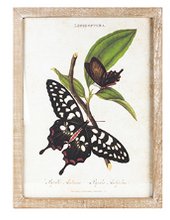 Load image into Gallery viewer, Rogue Rectangle Framed Butterfly Art
