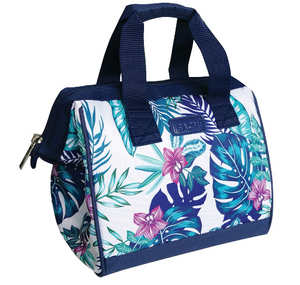 Insulated Lunch Bag: Multiple Styles Available